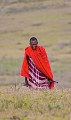 Masa du Ngorongoro